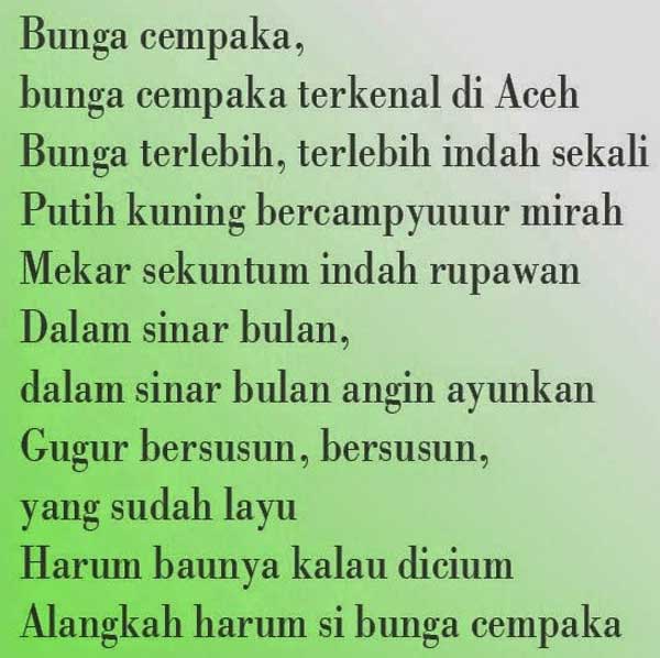arti lagu bungong jeumpa