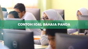 Contoh Soal Bahasa Panda UTBK