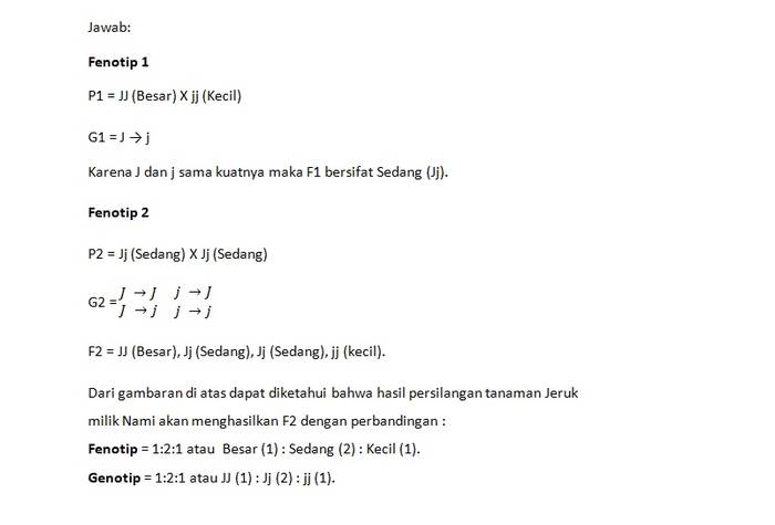 Contoh Soal Persilangan Monohibrid Intermediet