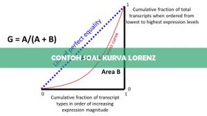 Contoh Soal Kurva Lorenz