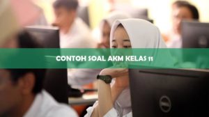 Contoh Soal AKM Kelas 11