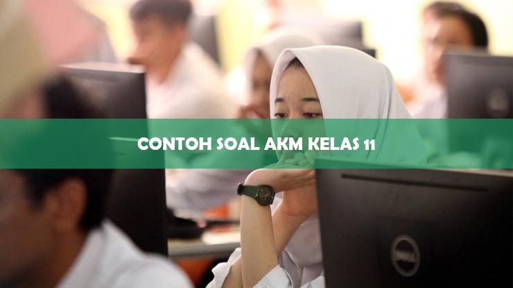 Contoh Soal AKM Kelas 11
