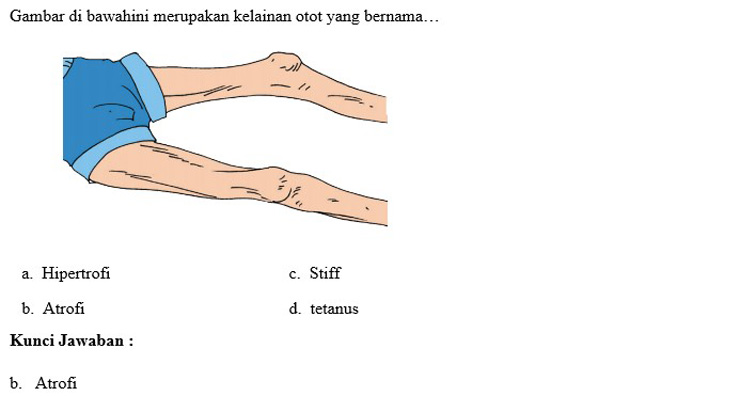 Contoh Soal PTS 6
