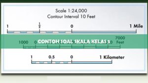 Contoh Soal Skala Kelas 5