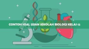 Contoh Soal Ujian Sekolah Biologi Kelas 12