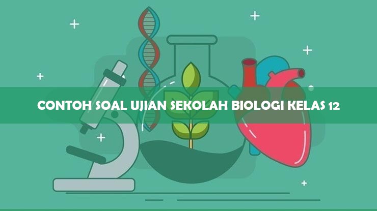Contoh Soal Ujian Sekolah Biologi Kelas 12