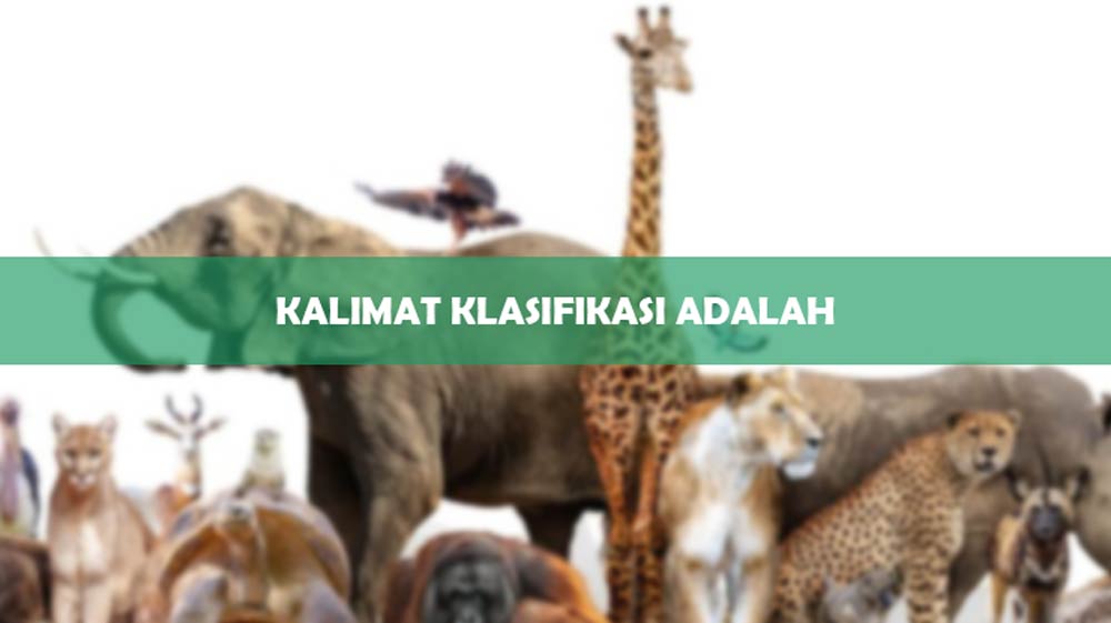 Kalimat Klasifikasi Adalah