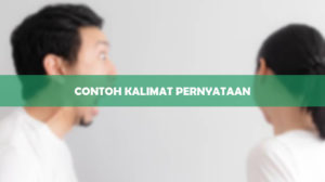 Contoh Kalimat Pernyataan