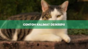 contoh kalimat deskripsi