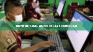 Contoh Soal ANBK Kelas 5 Numerasi