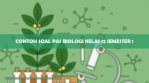 Contoh Soal PAS Biologi Kelas 12 Semester 1