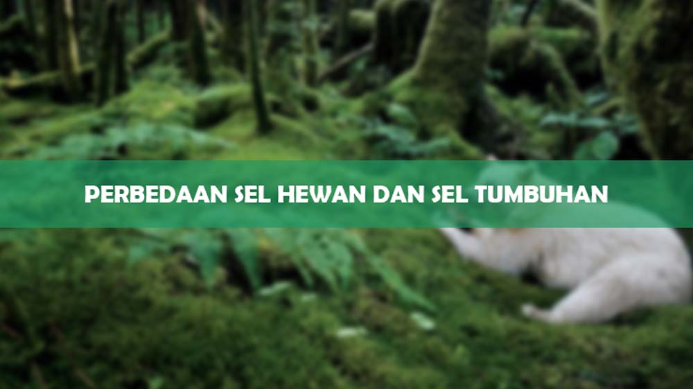 Perbedaan Sel Hewan dan Sel Tumbuhan