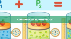 Contoh Soal Hukum Proust
