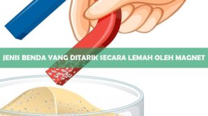 Jenis Benda yang Ditarik Secara Lemah Oleh Magnet