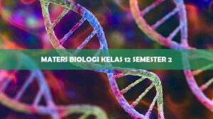Materi Biologi Kelas 12 Semester 2