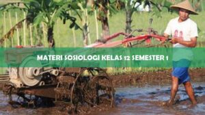 Materi Sosiologi Kelas 12 Semester 1