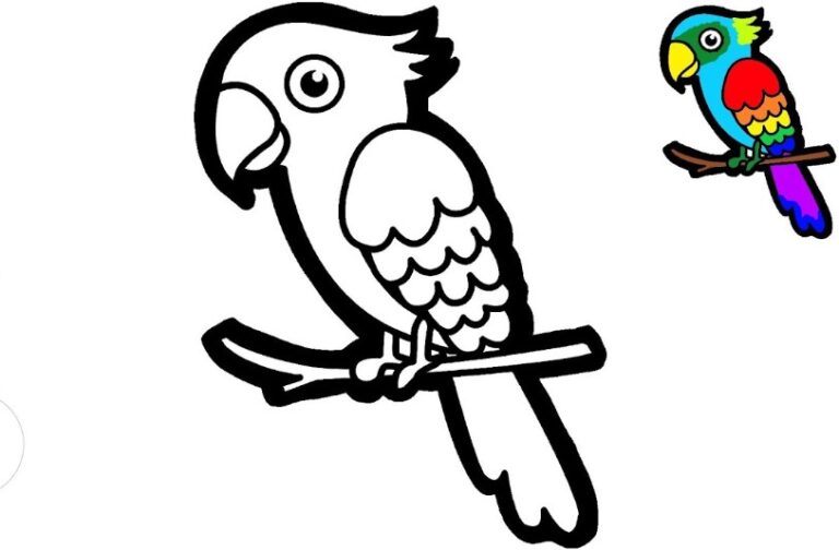 8 Gambar Mewarnai Hewan dan Contoh Warnanya